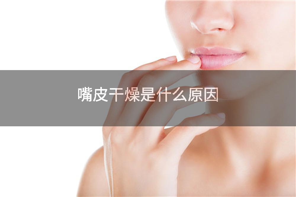 嘴皮干燥是什么原因