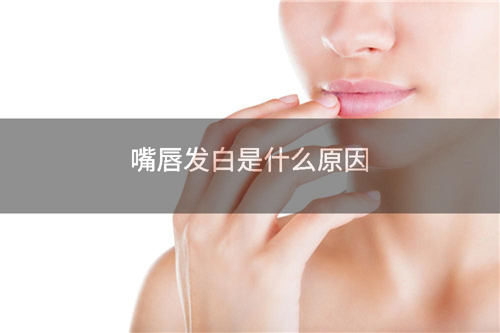 嘴唇发白是什么原因