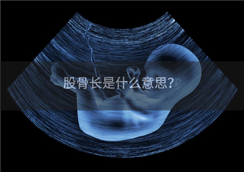 股骨长是什么意思?