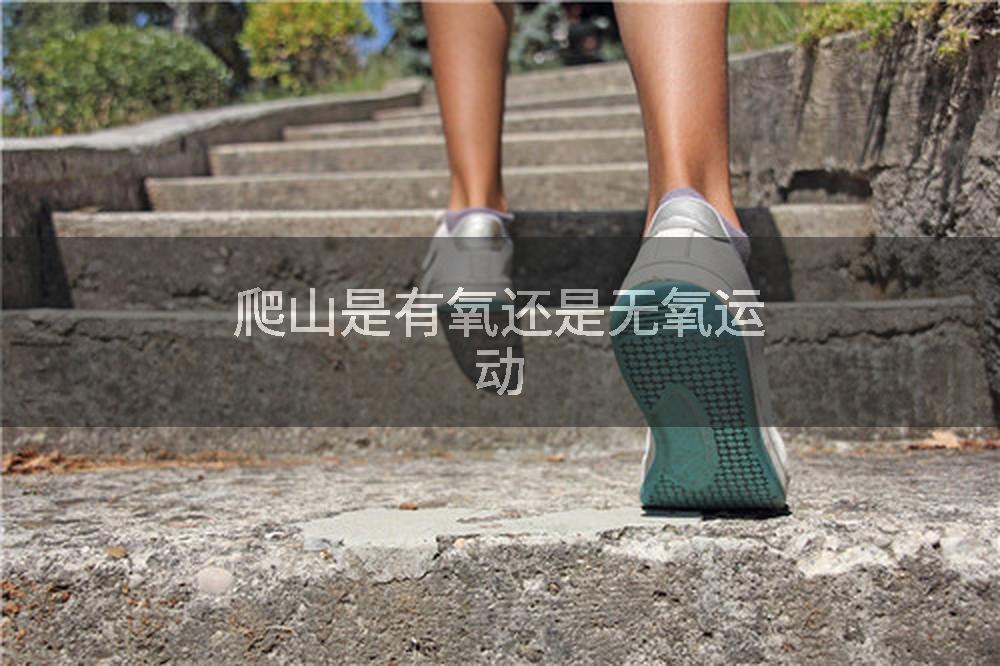 爬山是有氧还是无氧运动