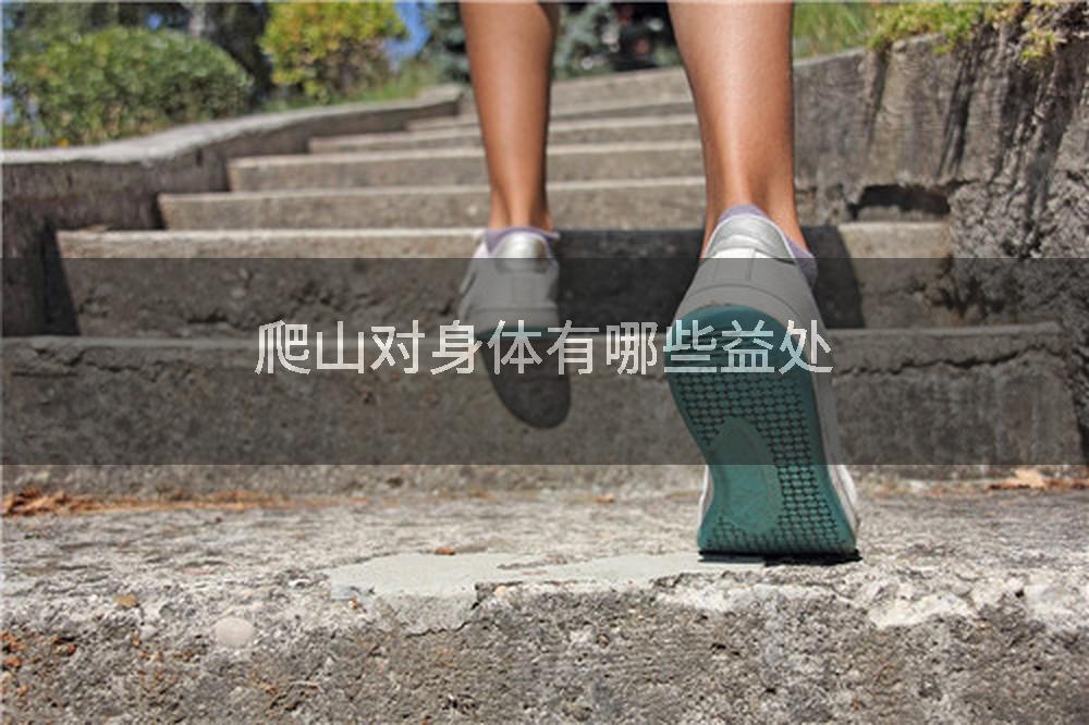 爬山对身体有哪些益处