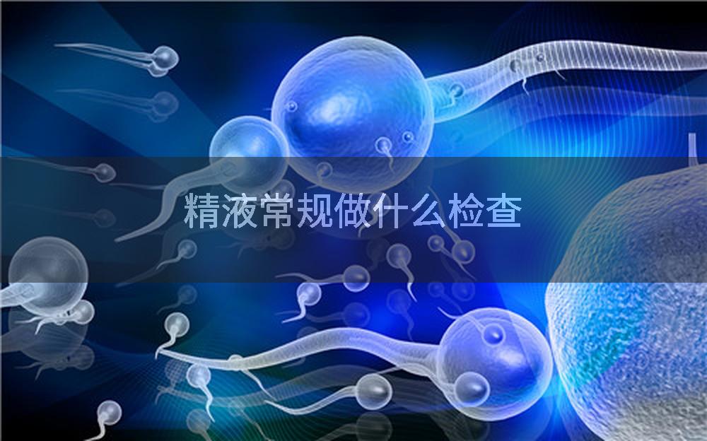 精液常规做什么检查