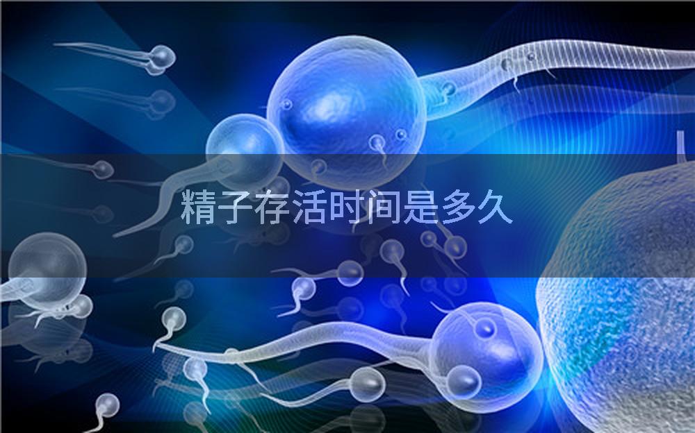 精子存活时间是多久