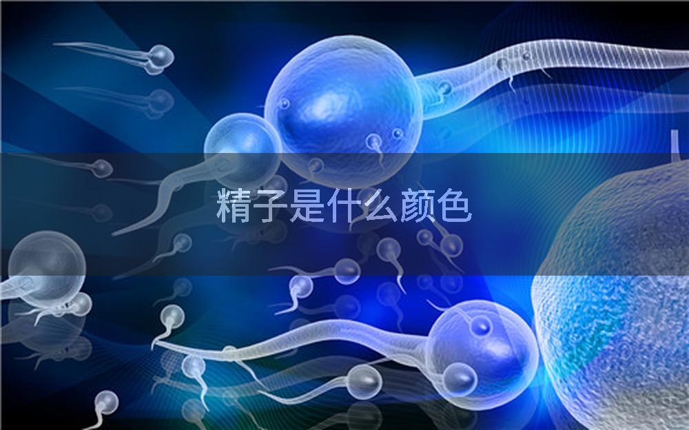 精子是什么颜色