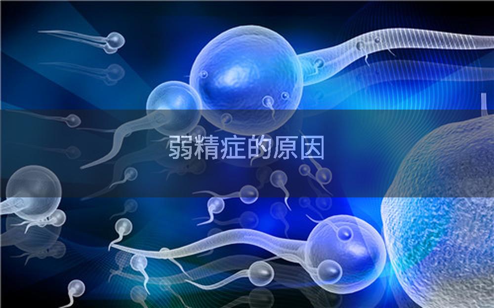 弱精症的原因