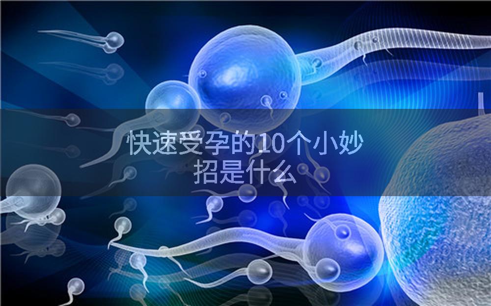 快速受孕的10个小妙招是什么