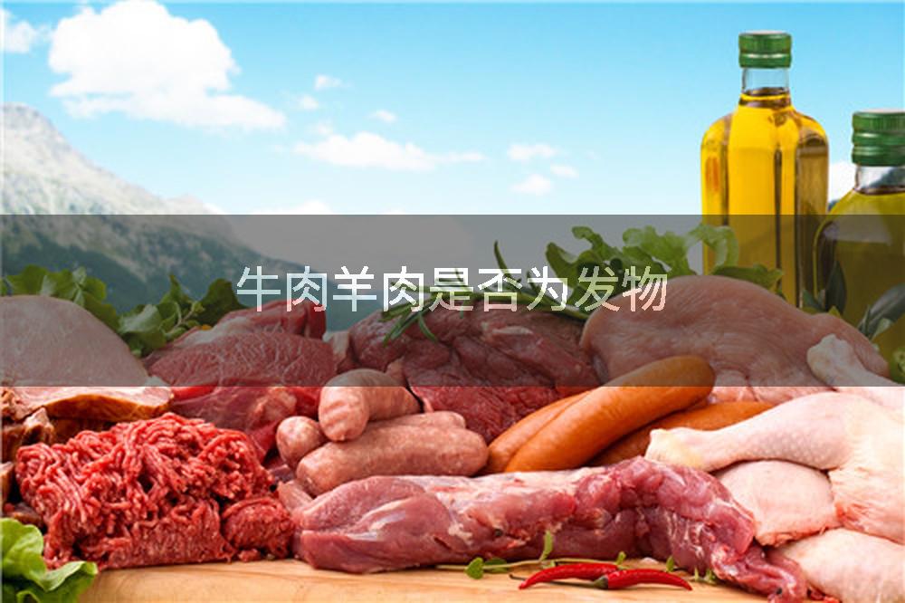牛肉羊肉是否为发物