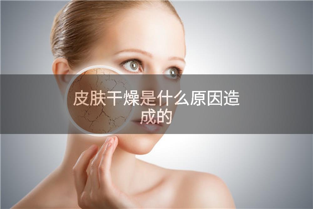 皮肤干燥是什么原因造成的