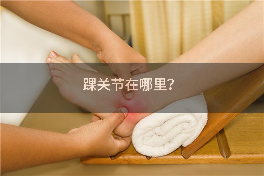 踝关节在哪里？