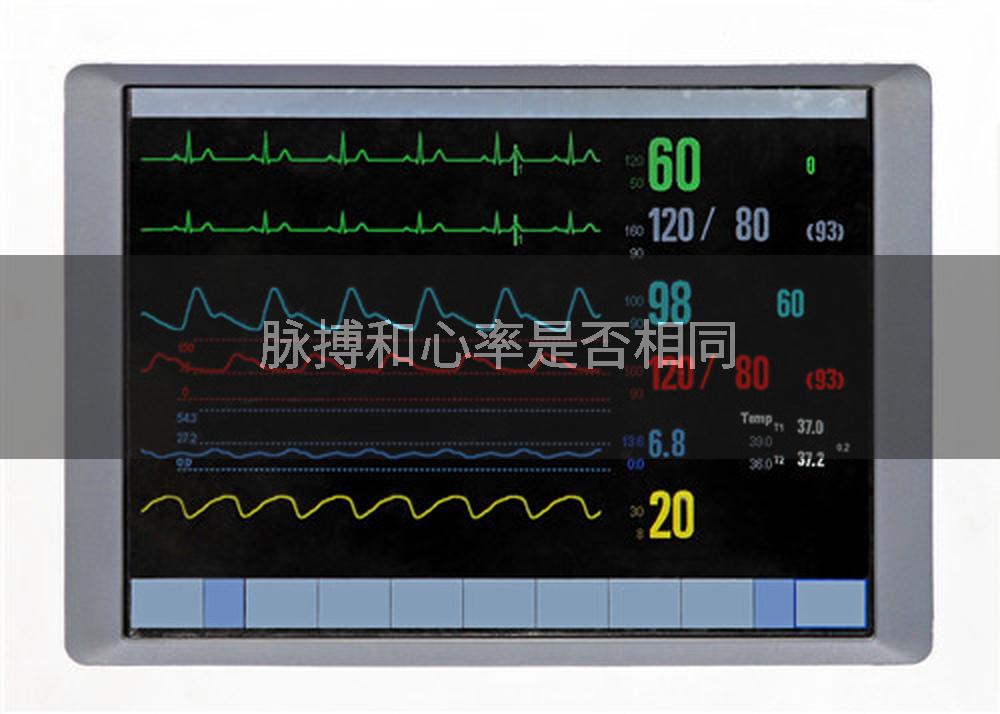 脉搏和心率是否相同