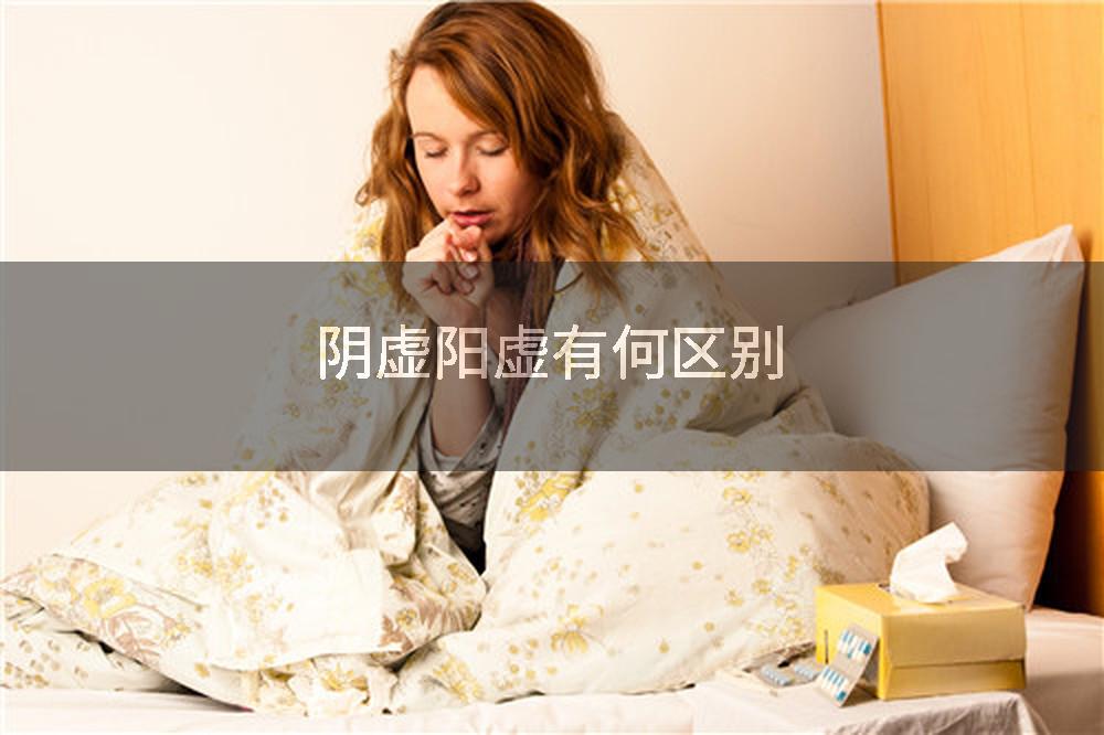 阴虚阳虚有何区别