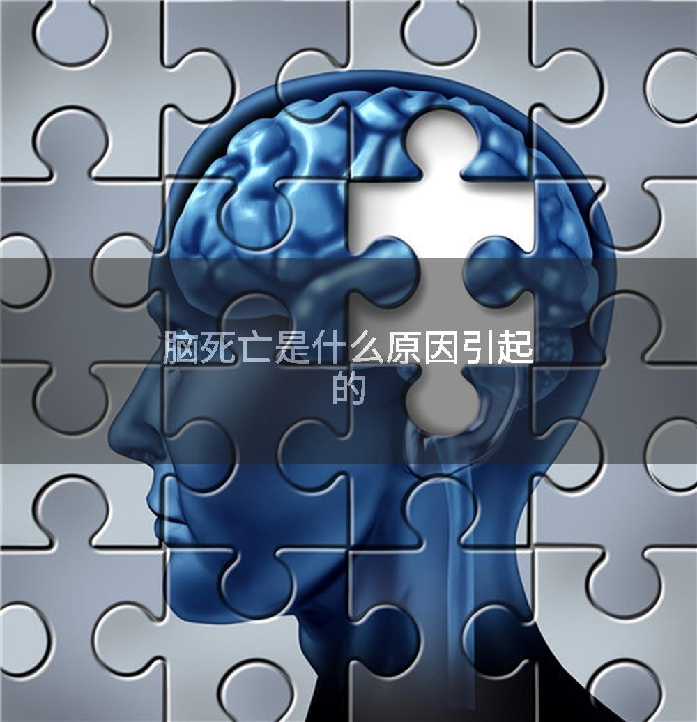 脑死亡是什么原因引起的