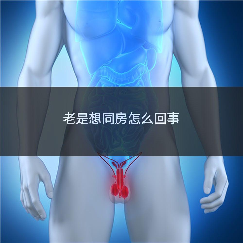 老是想同房怎么回事