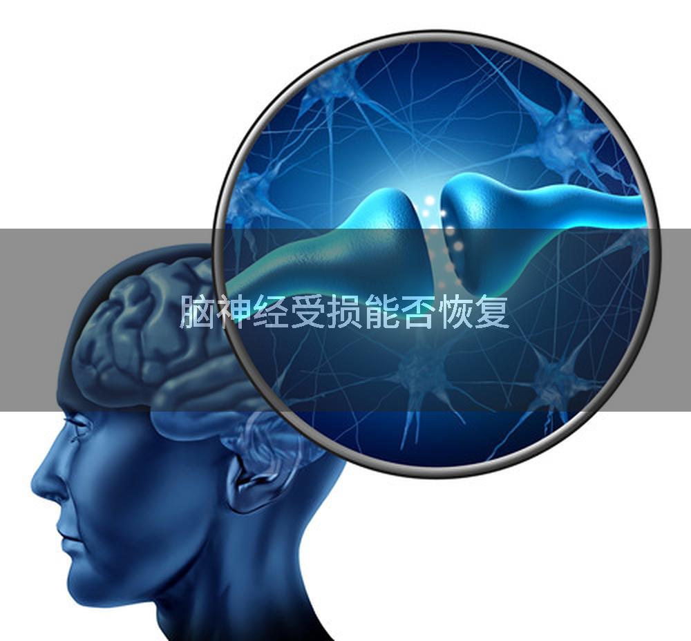 脑神经受损能否恢复