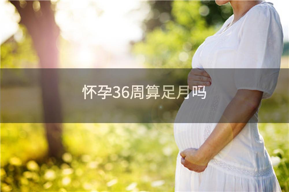 怀孕36周算足月吗