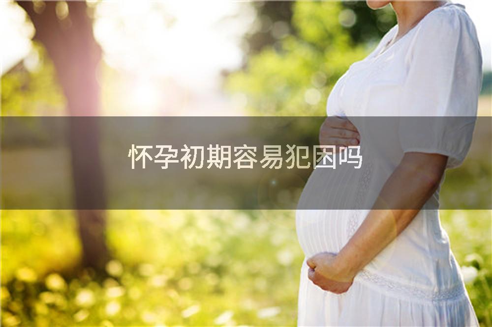 怀孕初期容易犯困吗