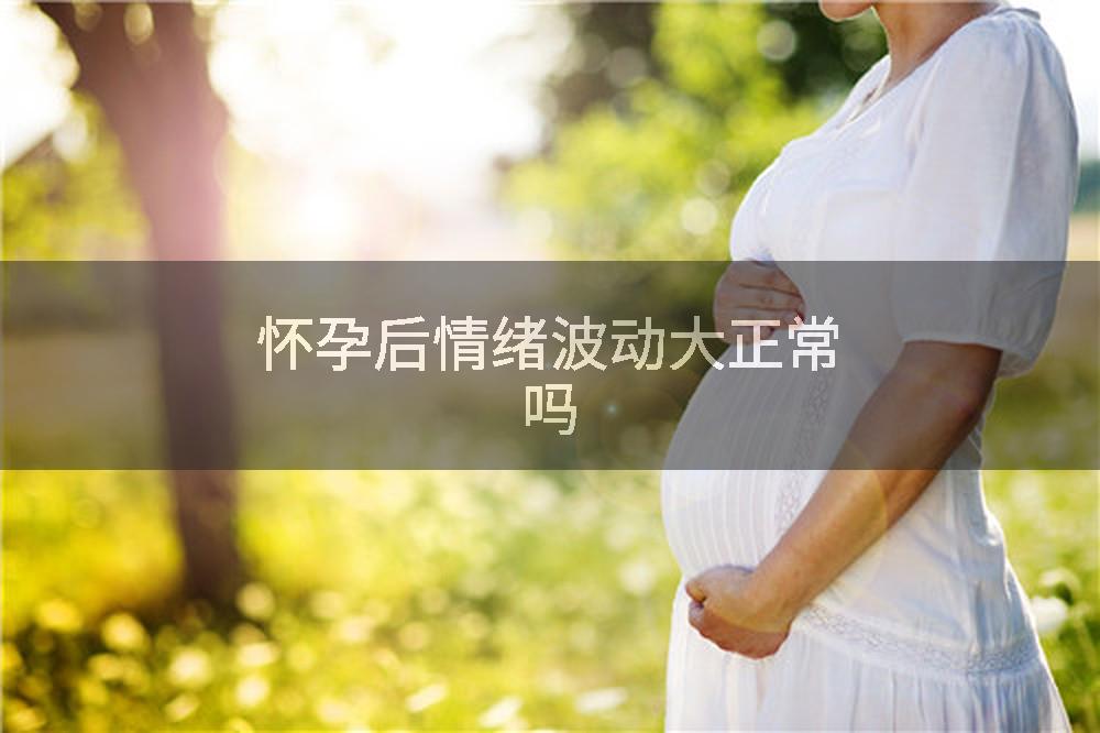 怀孕后情绪波动大正常吗