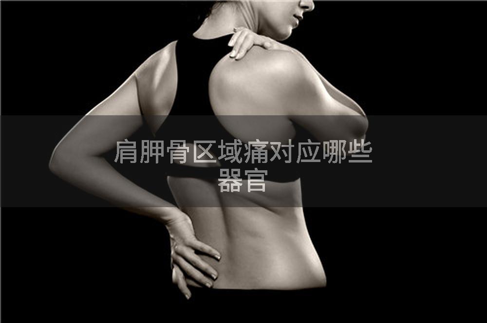 肩胛骨区域痛对应哪些器官