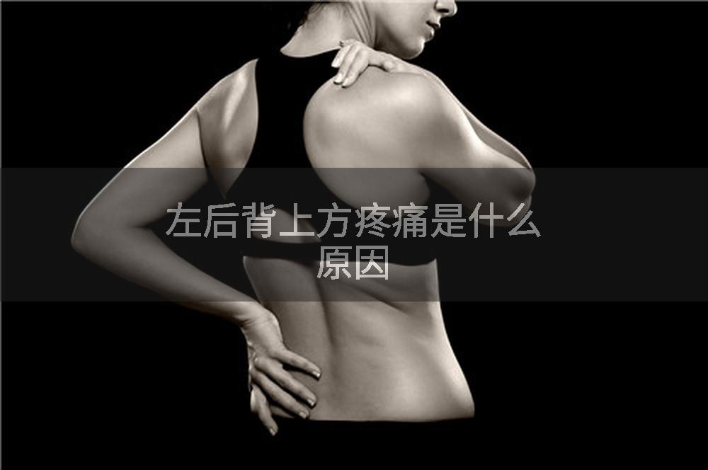 左后背上方疼痛是什么原因