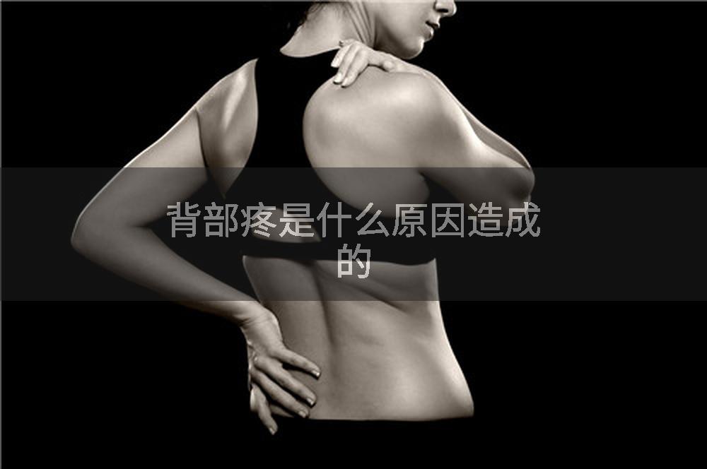 背部疼是什么原因造成的