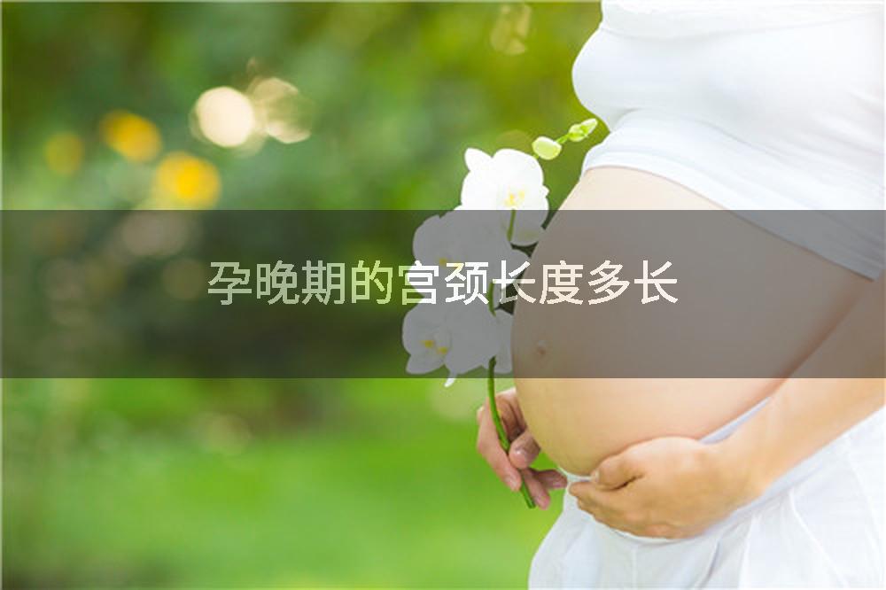 孕晚期的宫颈长度多长