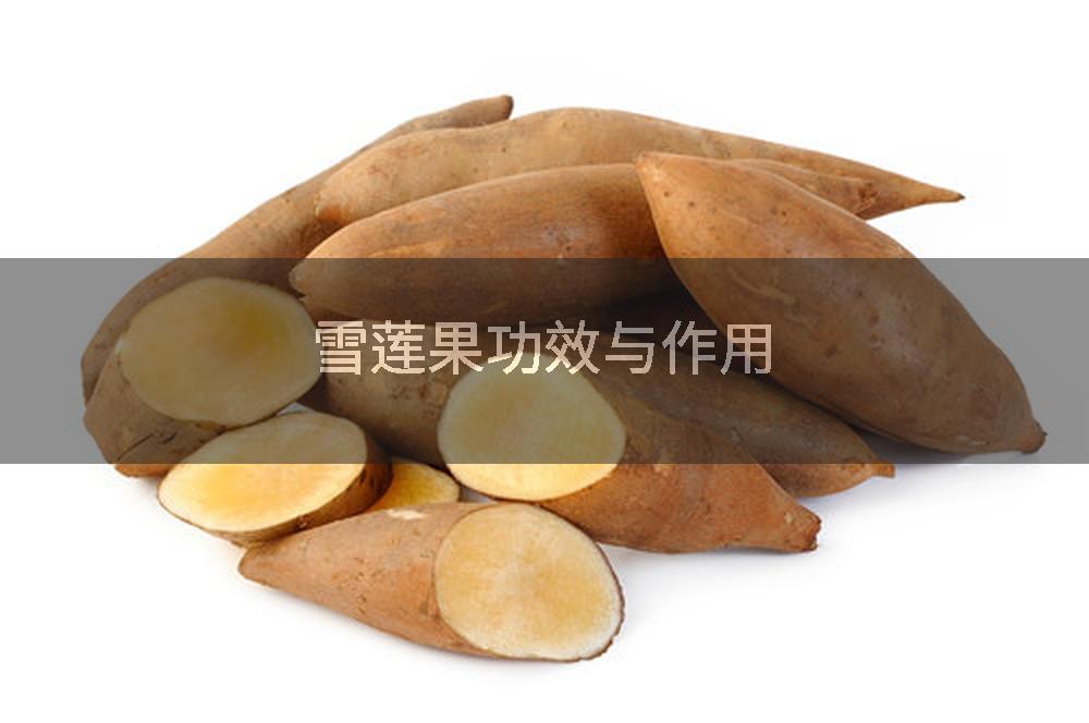雪莲果功效与作用