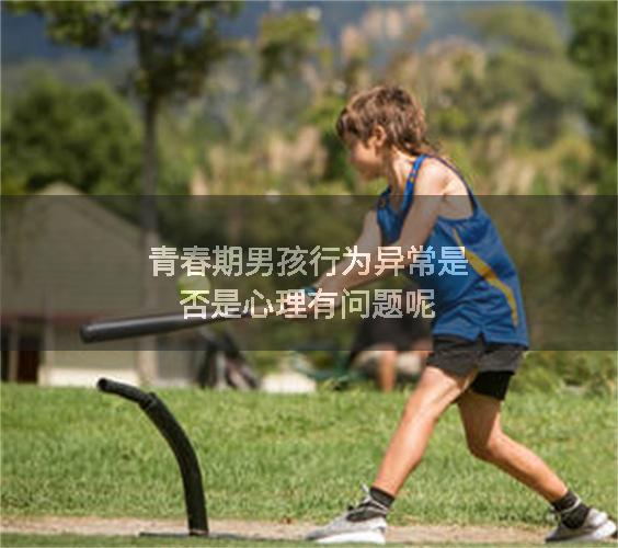 青春期男孩行为异常是否是心理有问题呢