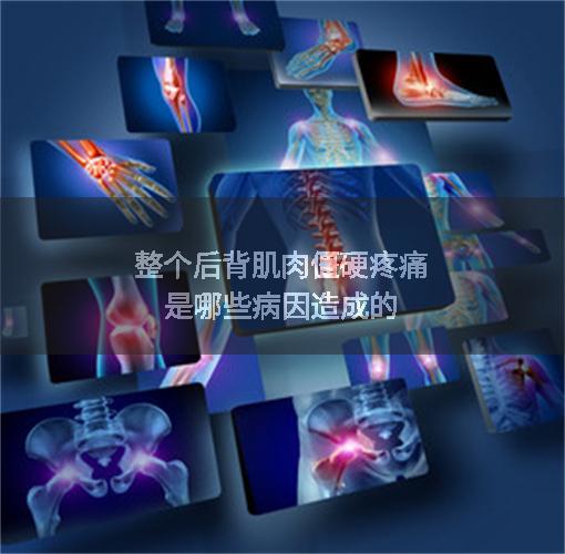 整个后背肌肉僵硬疼痛是哪些病因造成的