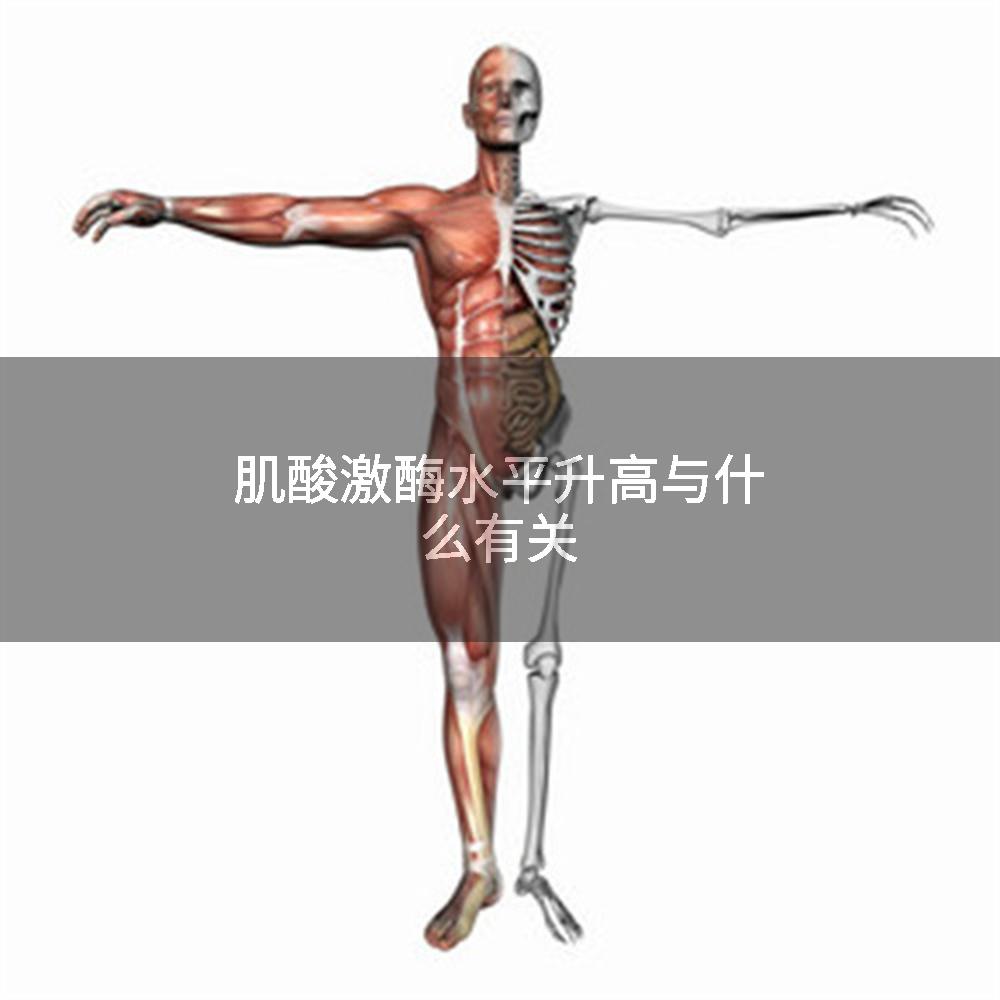 肌酸激酶水平升高与什么有关
