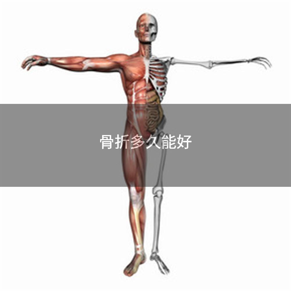 骨折多久能好