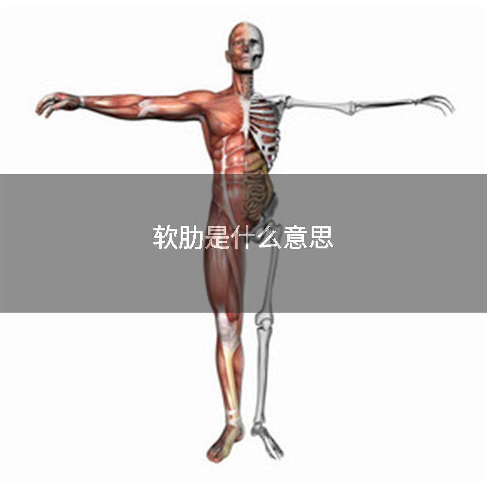软肋是什么意思