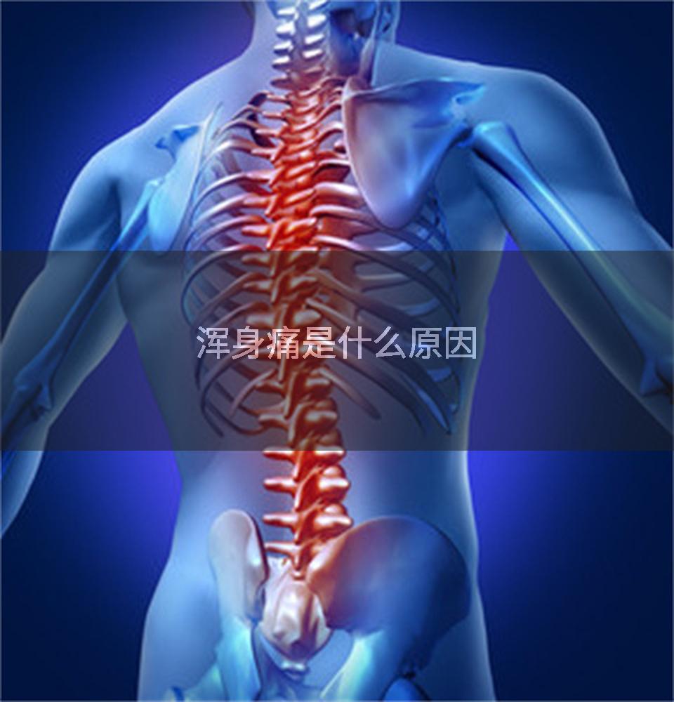 浑身痛是什么原因