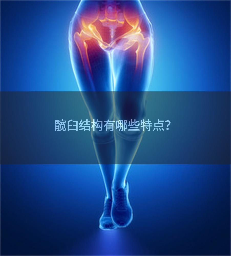 髋臼结构有哪些特点？