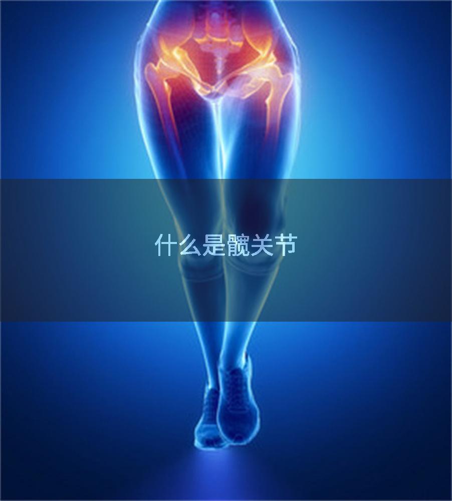 什么是髋关节