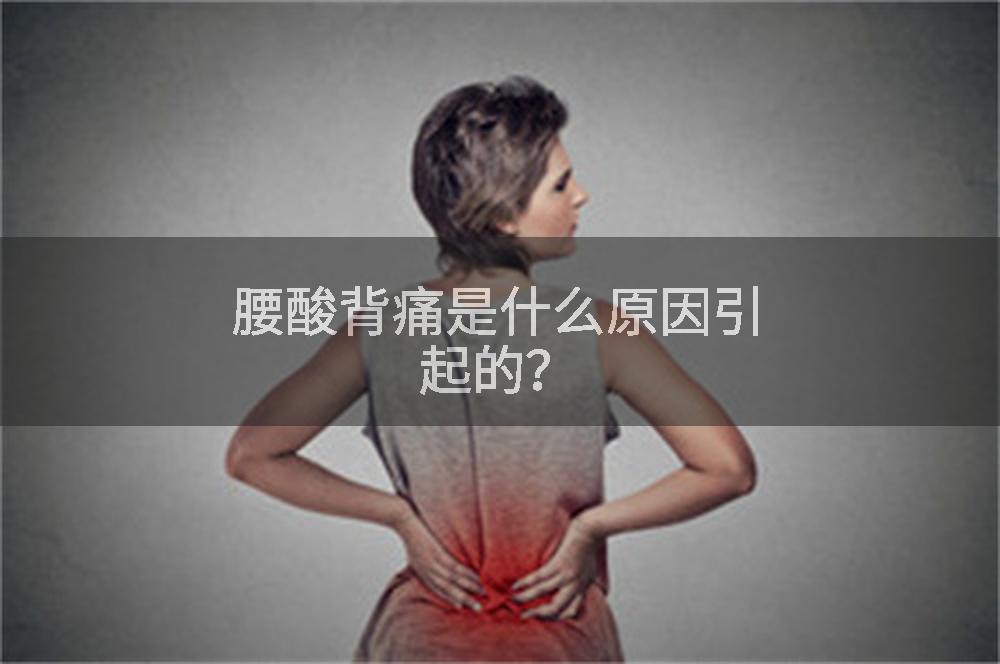 腰酸背痛是什么原因引起的？
