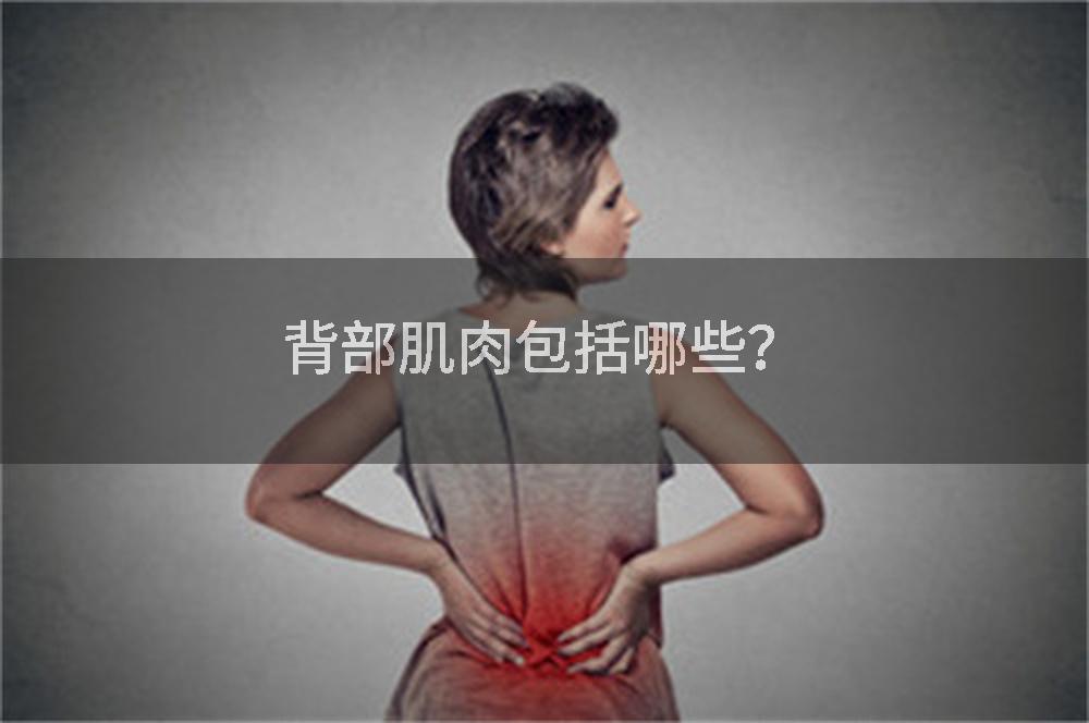 背部肌肉包括哪些？