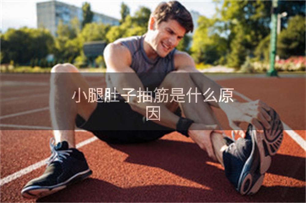 小腿肚子抽筋是什么原因