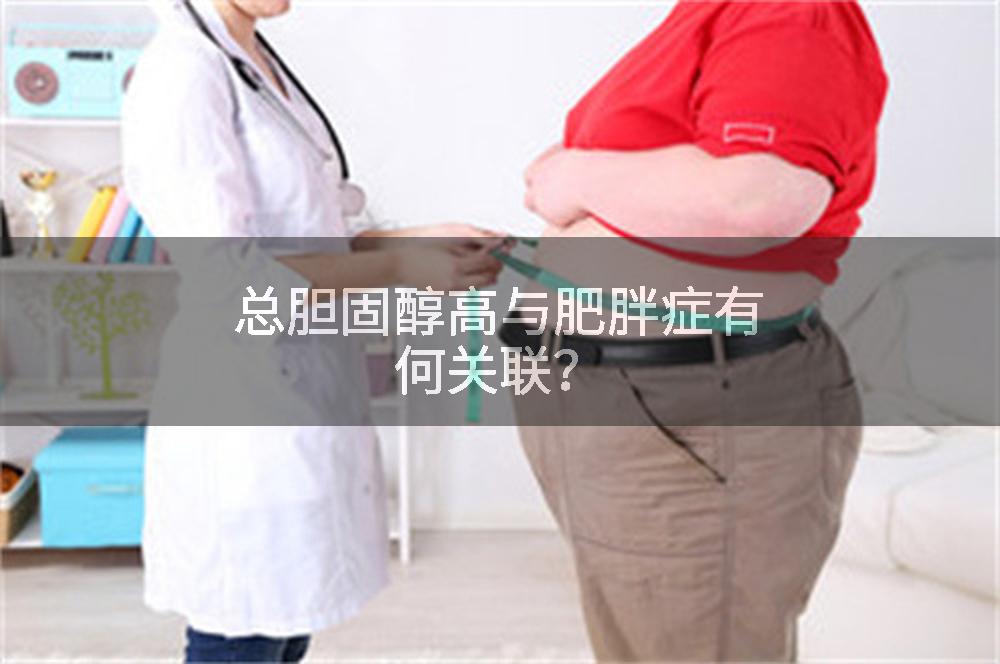 总胆固醇高与肥胖症有何关联？