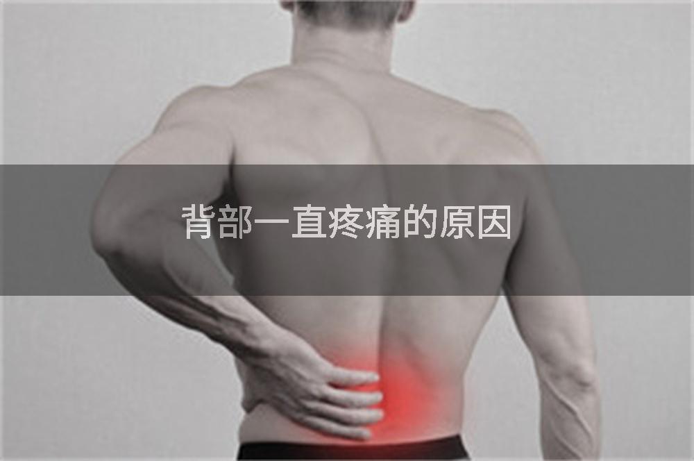 背部一直疼痛的原因