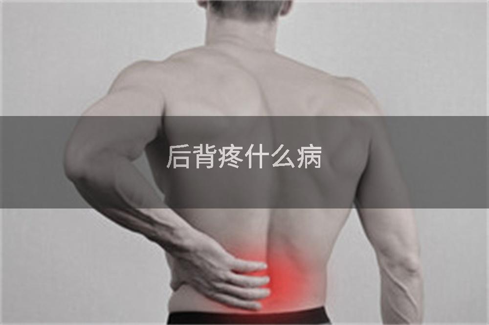 后背疼什么病