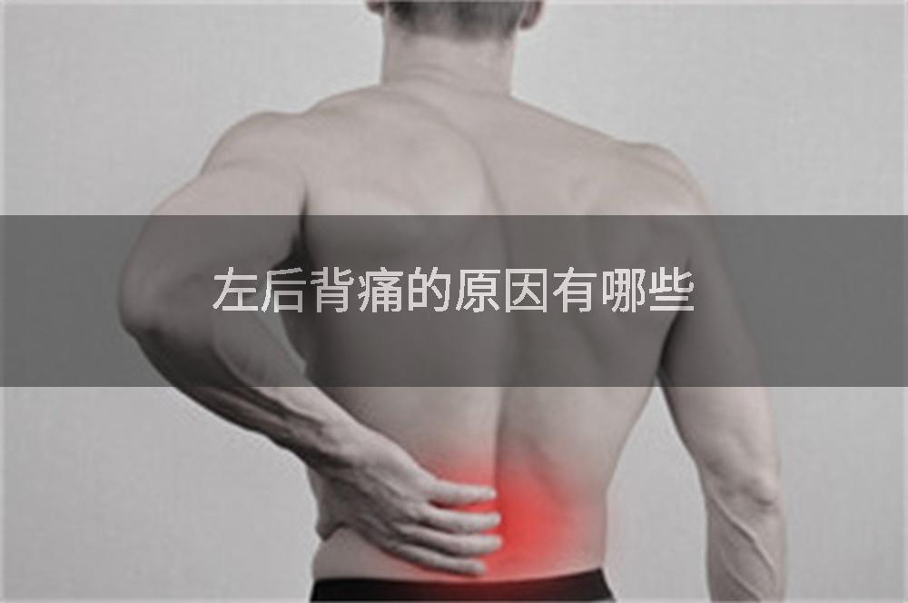 左后背痛的原因有哪些