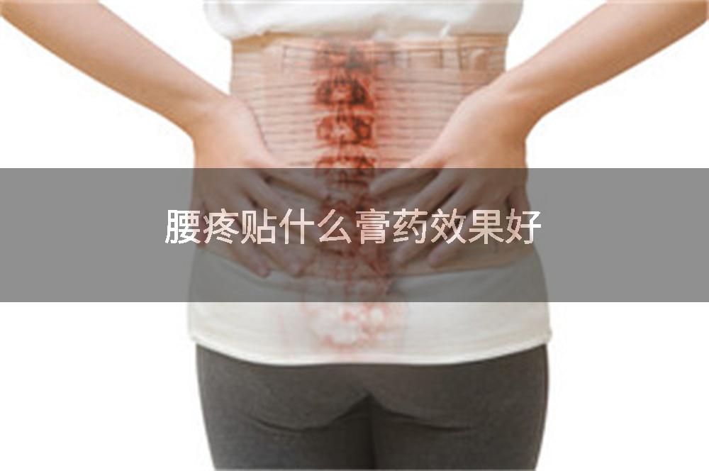 腰疼贴什么膏药效果好