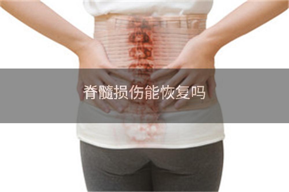 脊髓损伤能恢复吗