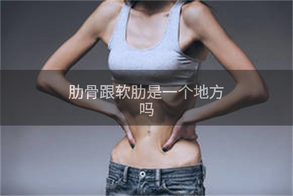 肋骨跟软肋是一个地方吗