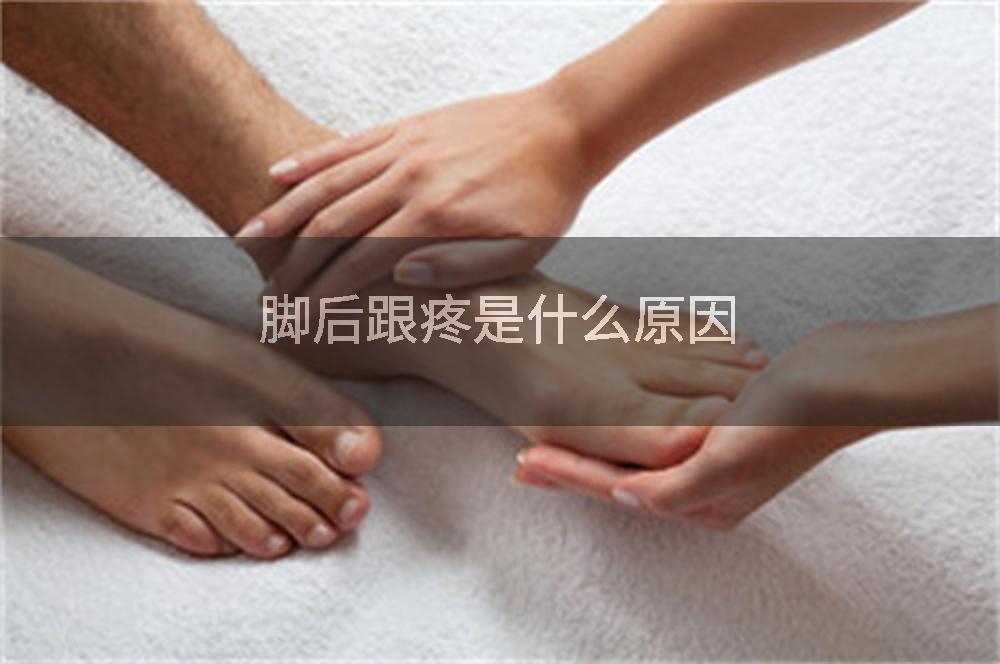 脚后跟疼是什么原因