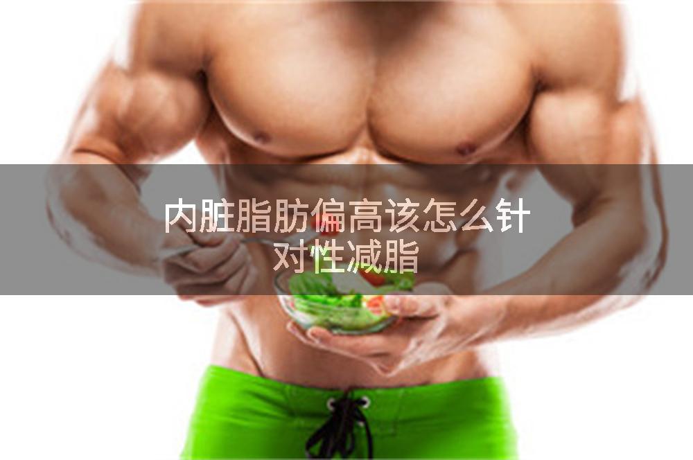 内脏脂肪偏高该怎么针对性减脂