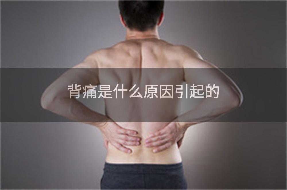 背痛是什么原因引起的