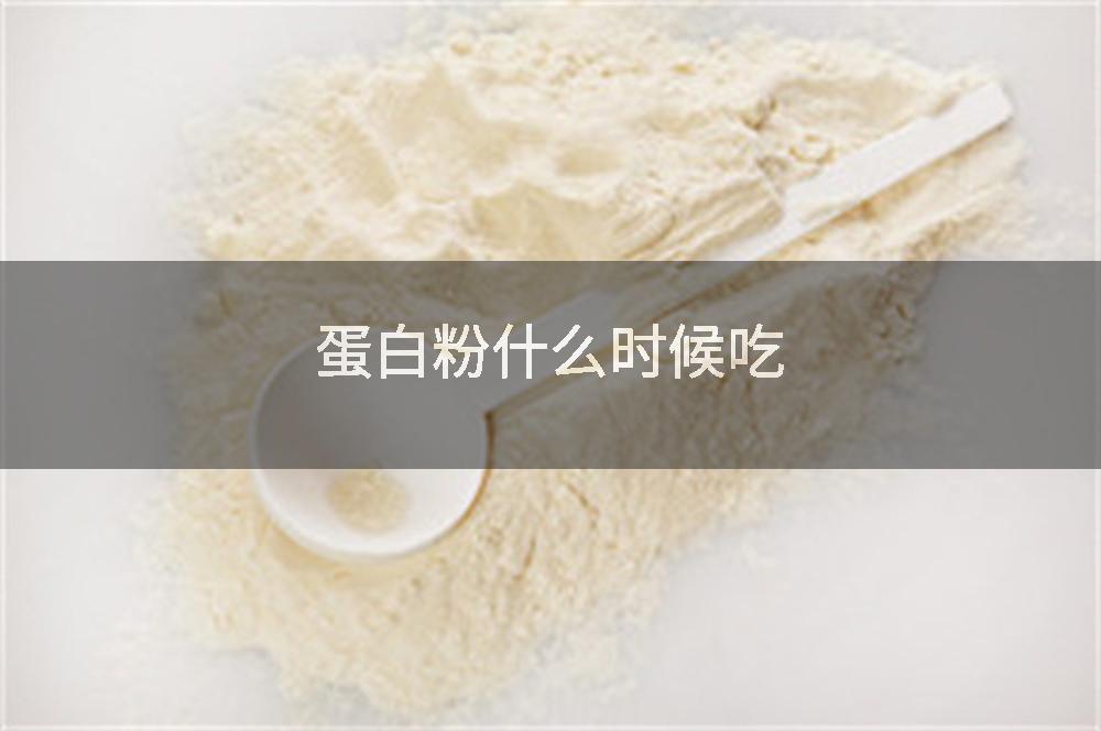蛋白粉什么时候吃