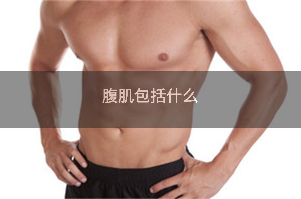 腹肌包括什么