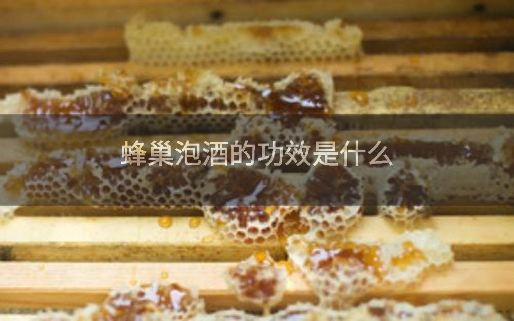 蜂巢泡酒的功效是什么
